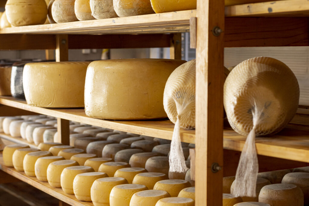 Dernière étape de fabrication: l'affinage
Source: Image by <a href="https://www.freepik.com/free-photo/delicious-organic-cheese-wheels_5796738.htm#query=affinage%20fromage&position=19&from_view=search&track=ais">Freepik</a>