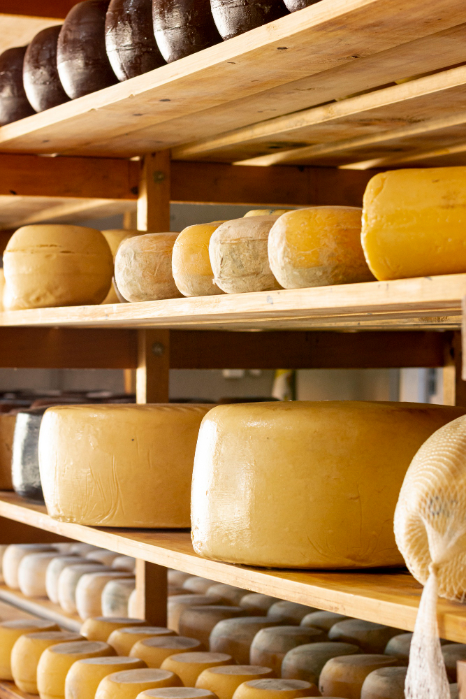 Une cave d'affinage d'un fromage fermier
