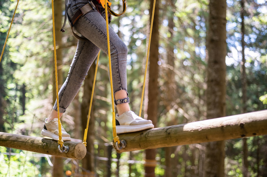 De l'accobranche pour fédérer votre équipe